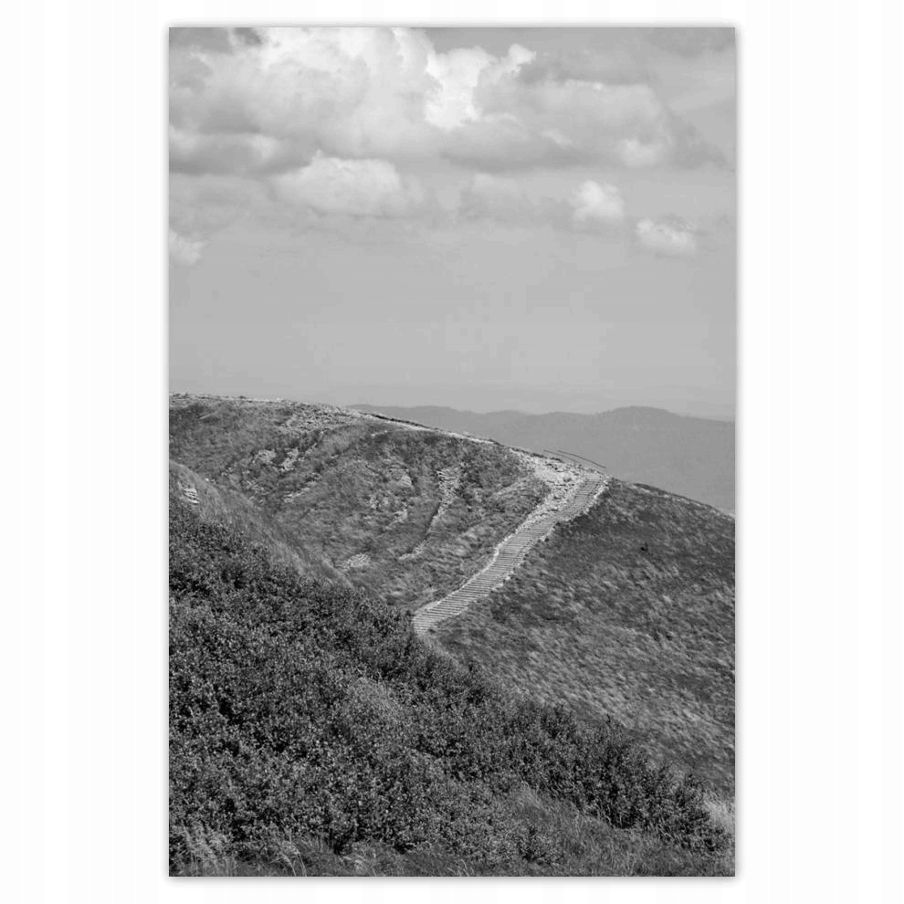 

Plakat 62x93 Góry Bieszczady