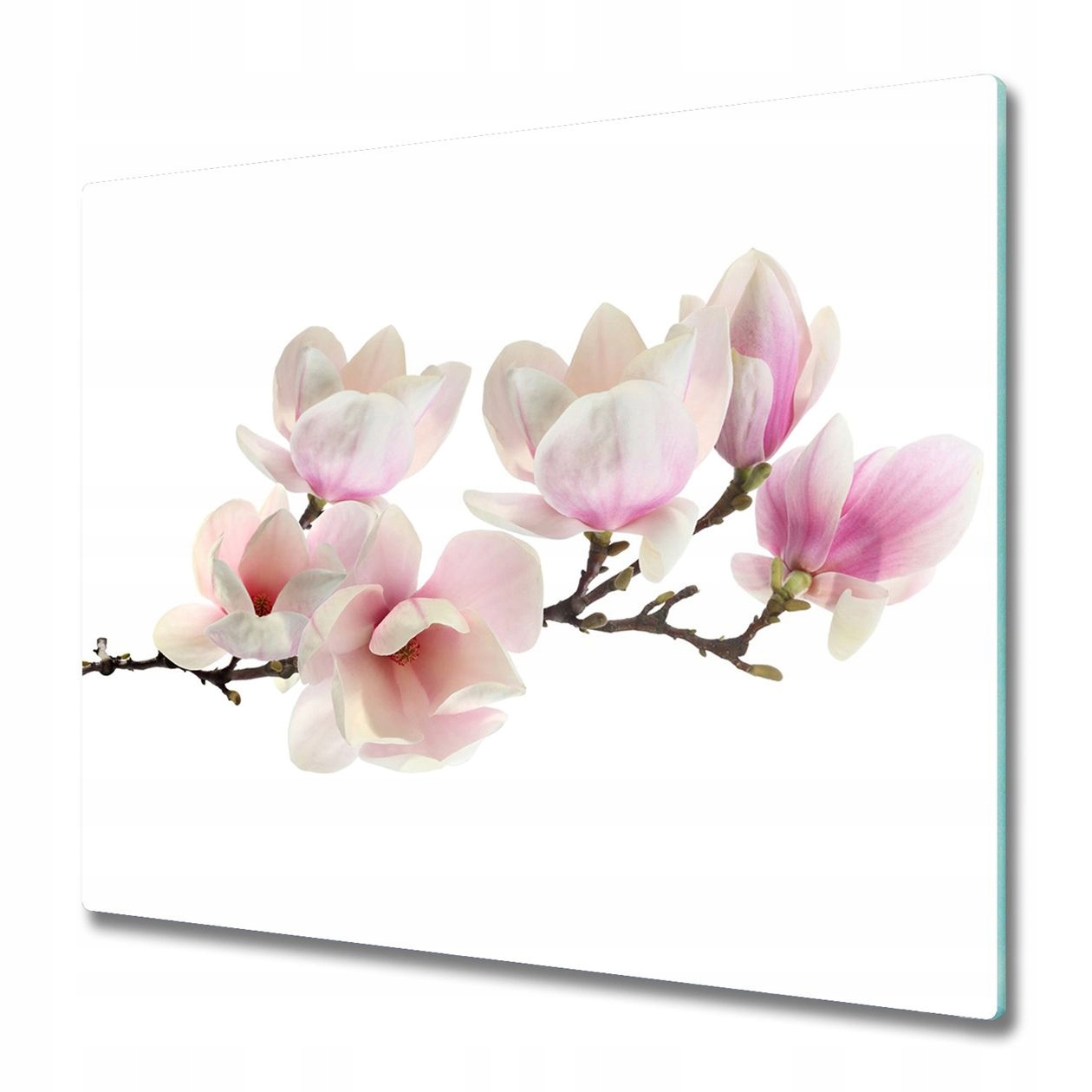 

Ochrona płyty indukcyjnej ze szkła Magnolia 60x52