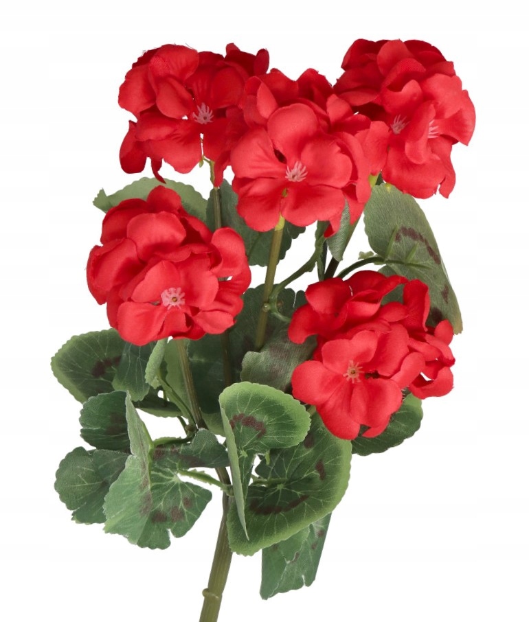 

Pelargonia Duża Gęsta Bukiet Sztuczne Kwiaty 36CM