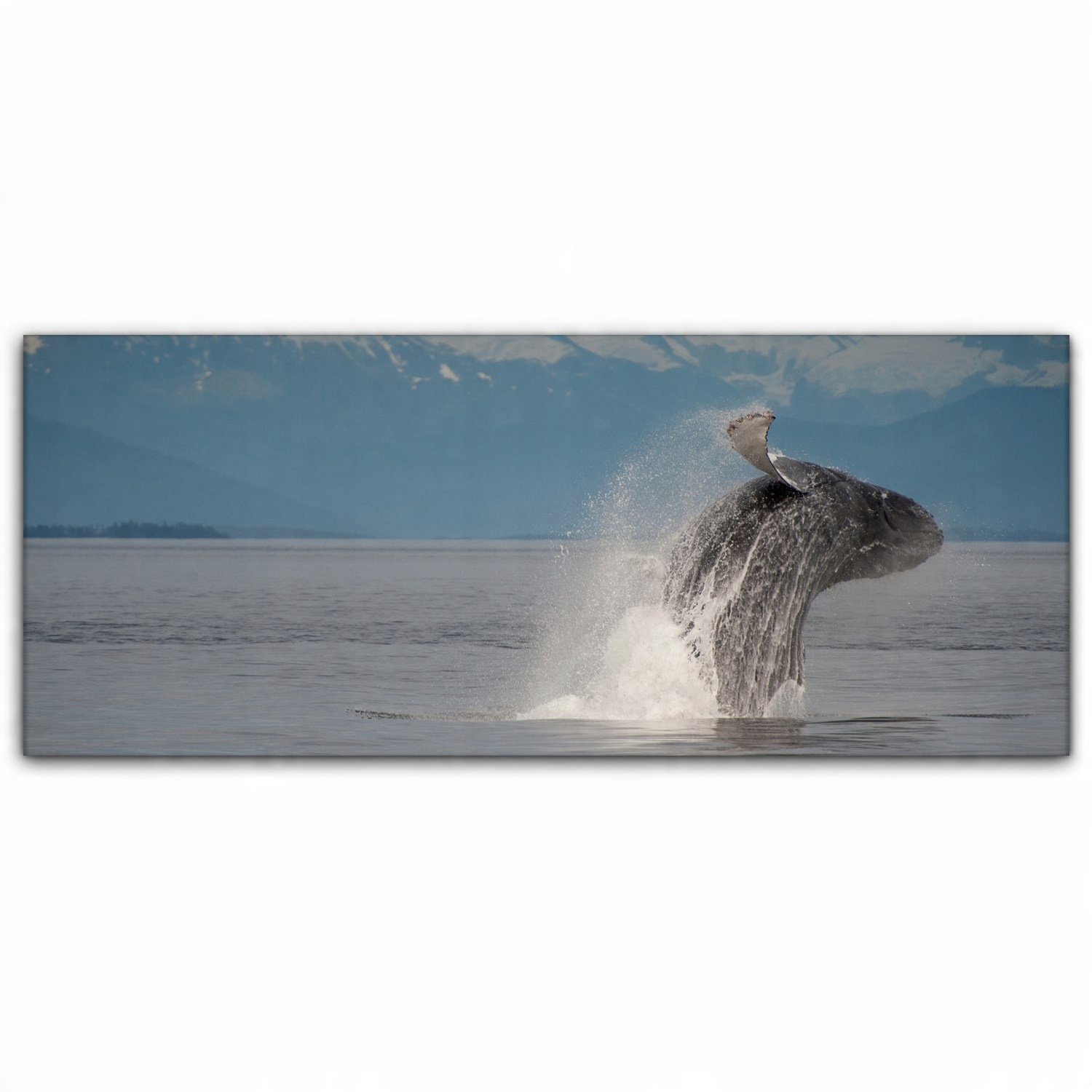 

Obraz płótno canvas 125x50 Wieloryb Ocean Zwierzę