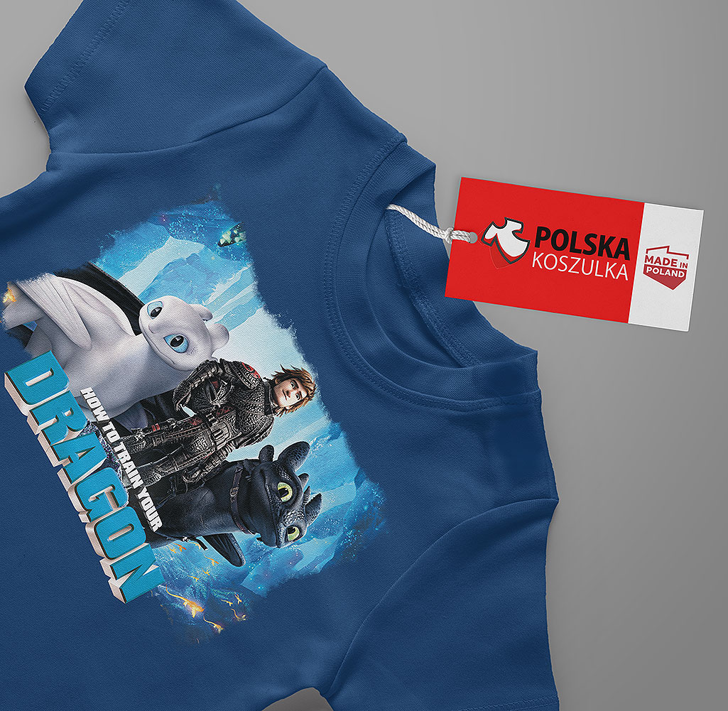 ZESTAW 3W1 KOSZULKA DLA DZIECI TATUAŻE NAKLEJKI JAK WYTRESOWAĆ SMOKA 104 Liczba sztuk w zestawie 3 szt.