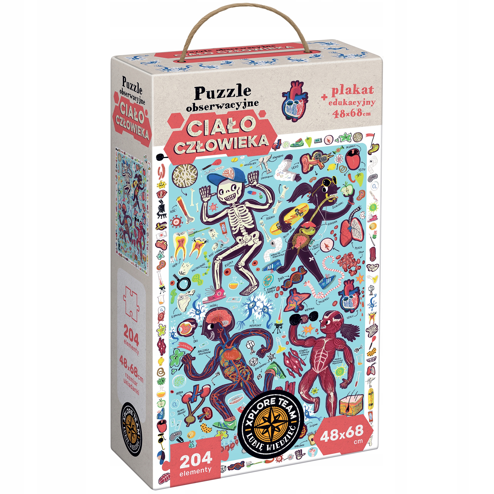 

Xt puzzle obserwacyjne 204 el. Ciało Człowieka