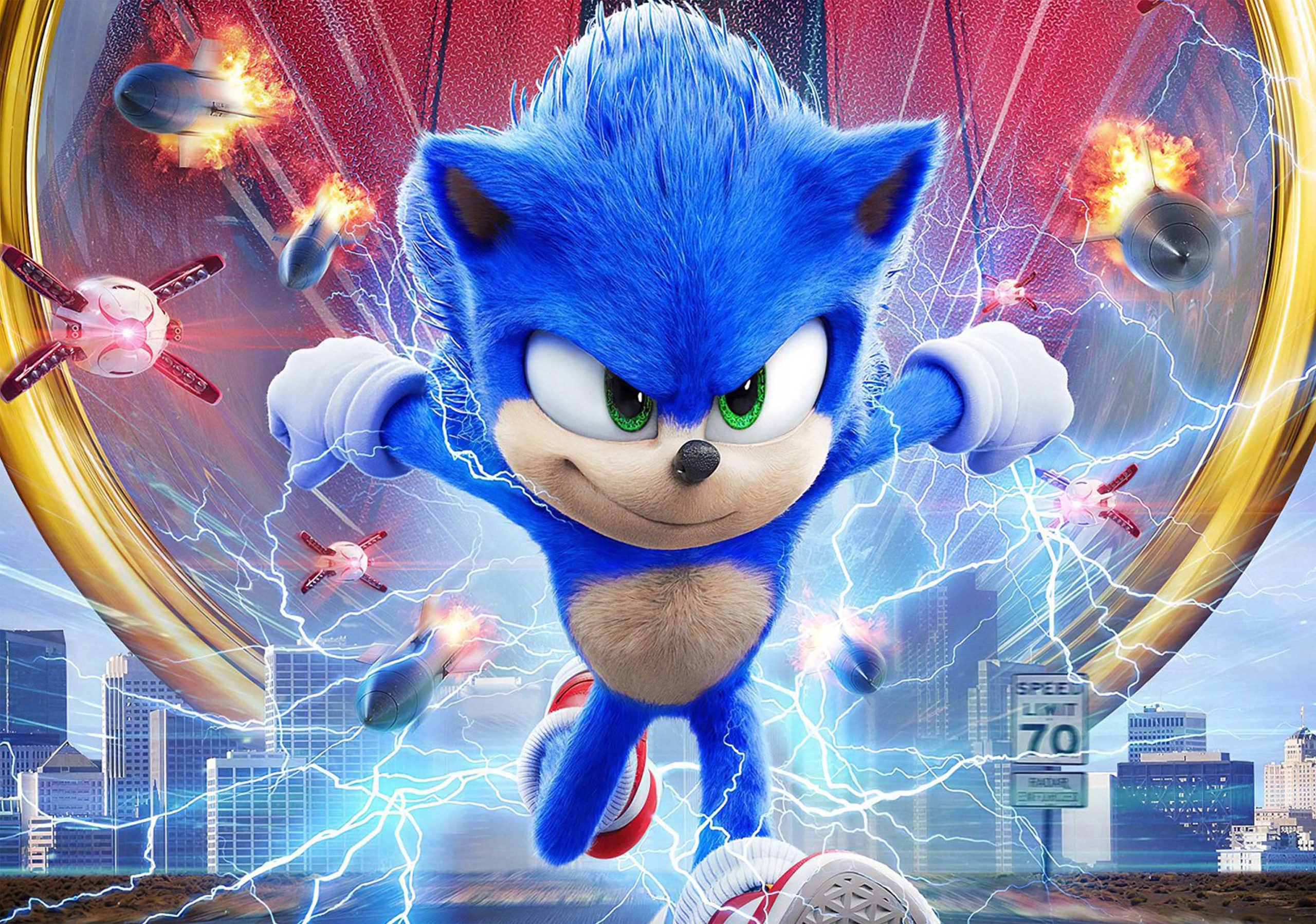 

Fototapeta Sonic 01 312x219