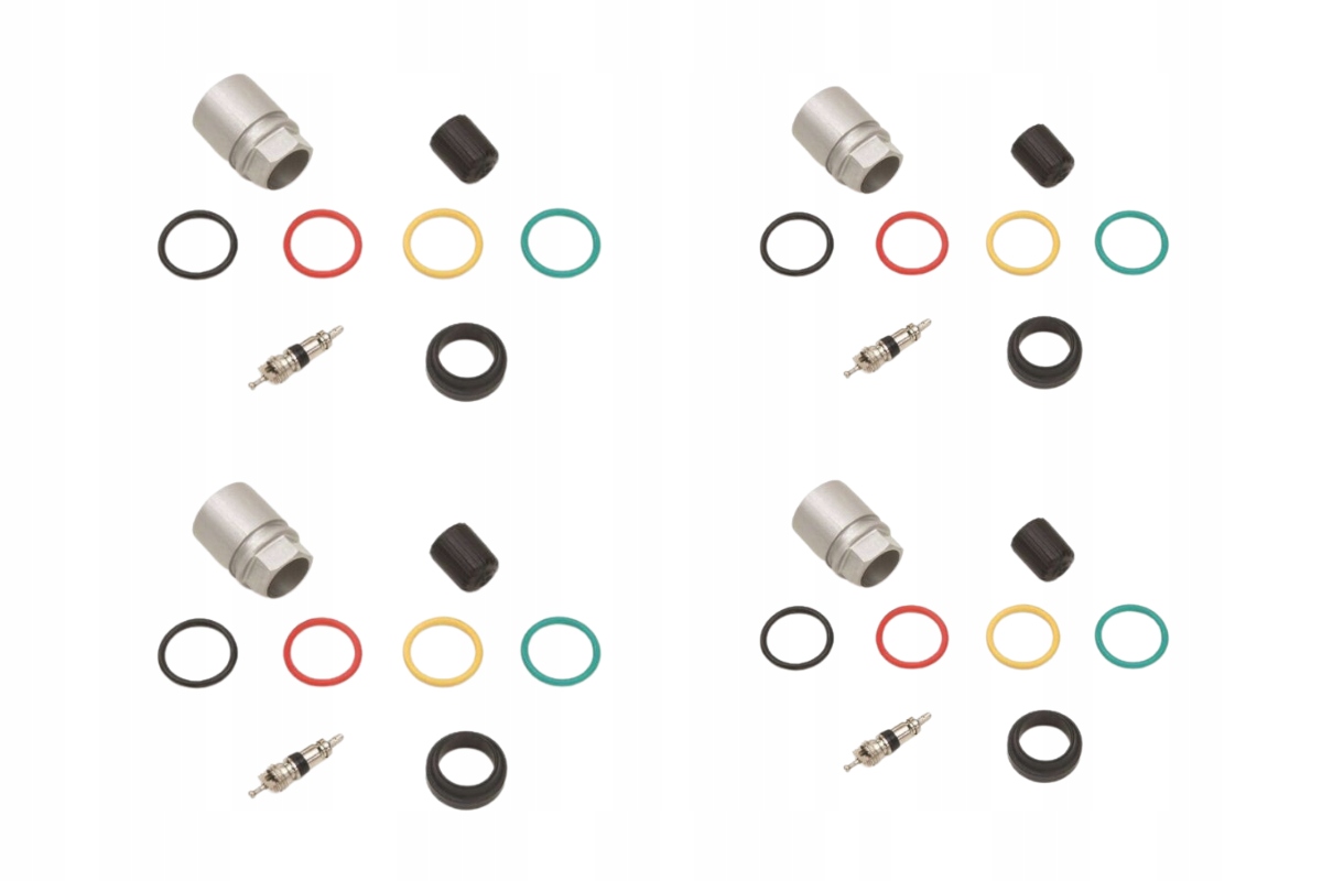 

Zestaw naprawczy zaworu Tpms Renault Alu 4 sztuki