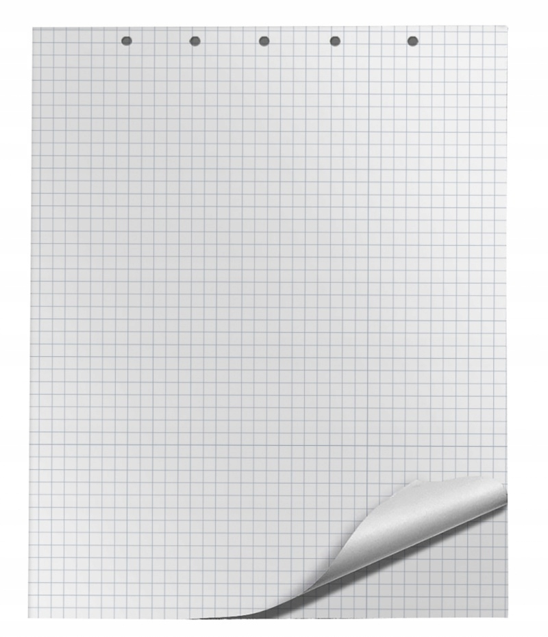 Blok do flipchartów kratka 65x100cm 20 kart biały