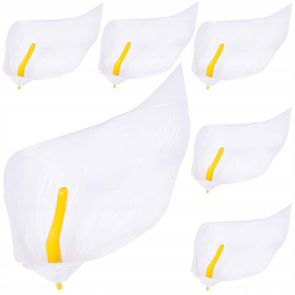 

Kalie Główki Kwiatowe Główka Wyrobowa Kwiaty 6szt