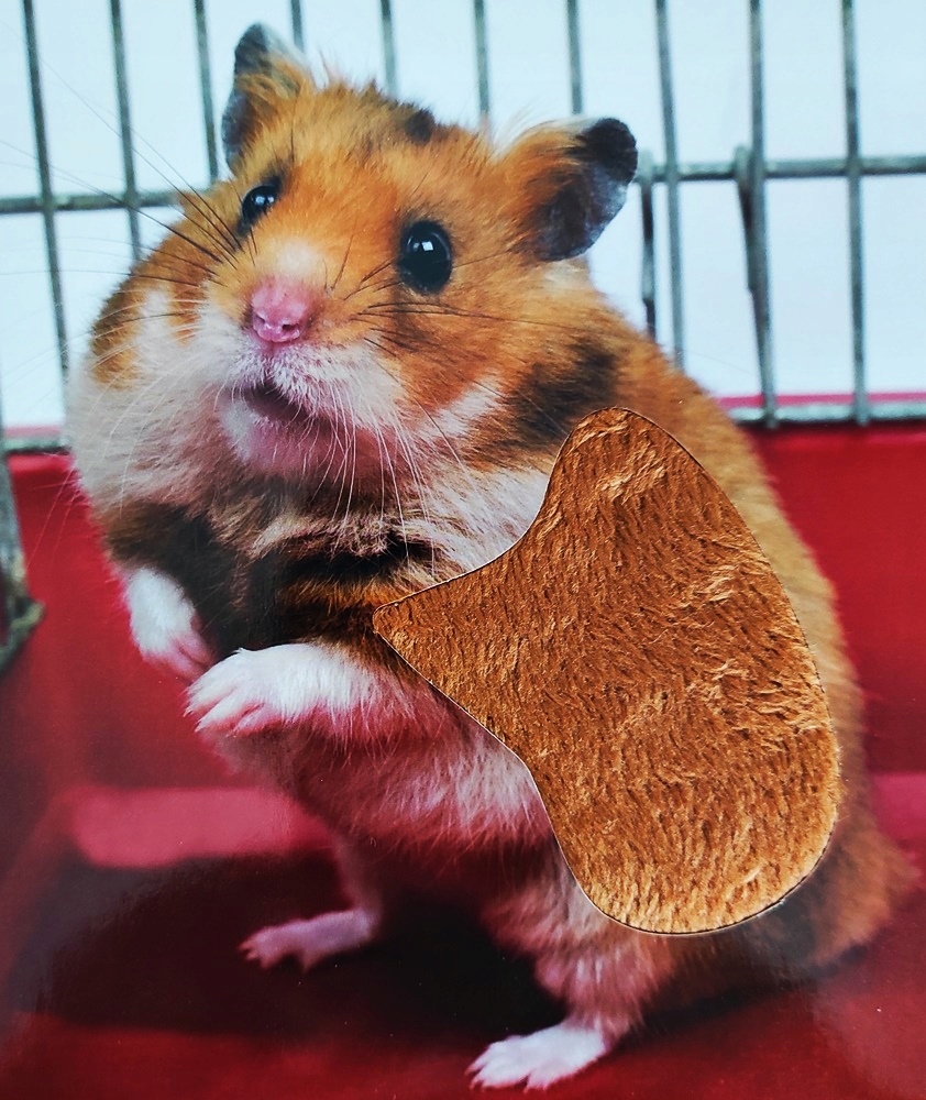 KSIĄŻECZKA KSIĄŻKA SENSORYCZNA PRZYTUL MNIE PUPILE Marka inna