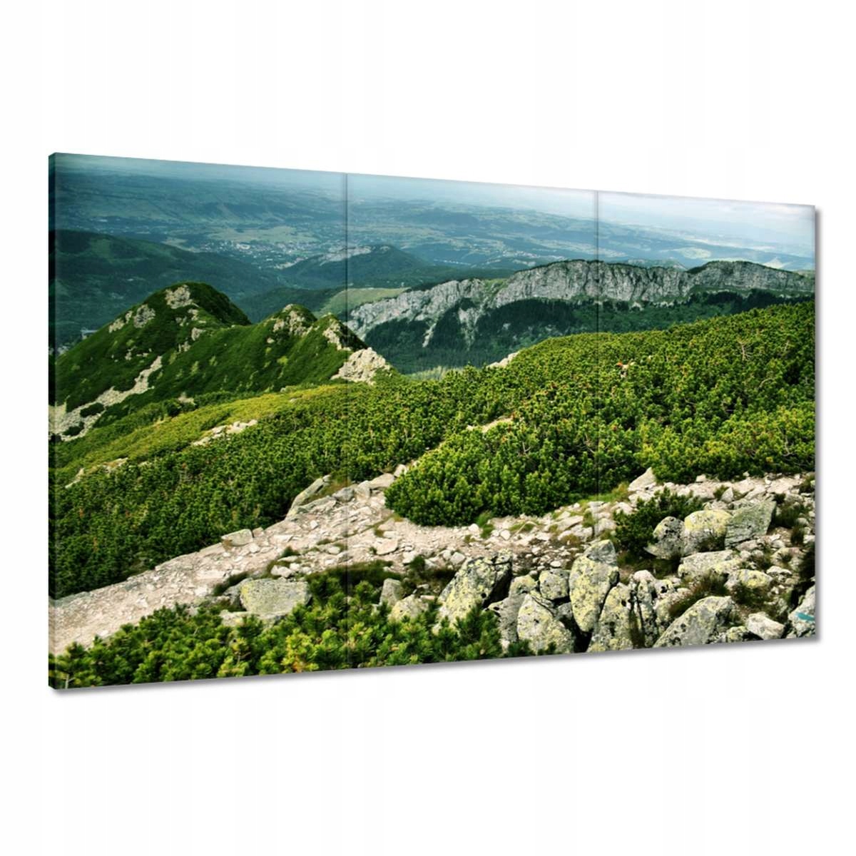 Obrazy 120x80 Tatry Polské hory Pohled