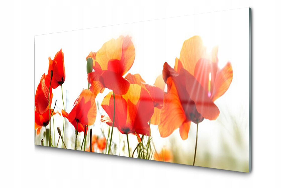 Sklenený panel dekor Maki Rastlina 120x60 Lepidlo