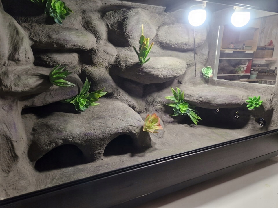 Terárium Pro Gekona Pouštní Objednávka 90x40x40 Vybavení Aranžování