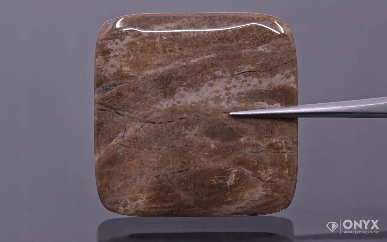 Dřevo zkamenělé konvexní dlaždice cushion 35x35 mm