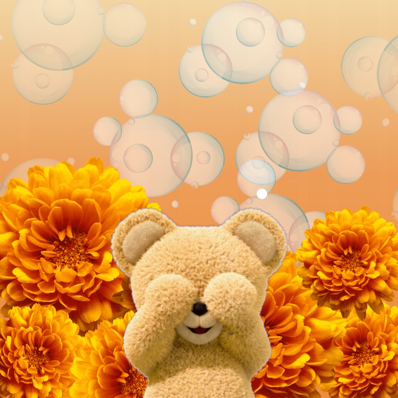 ZESTAW 5X COCCOLINO FRESH & SOFT ORANGE RUSH PŁYN DO PŁUKANIA TKANIN 1700ML Zapach Kwiatowy