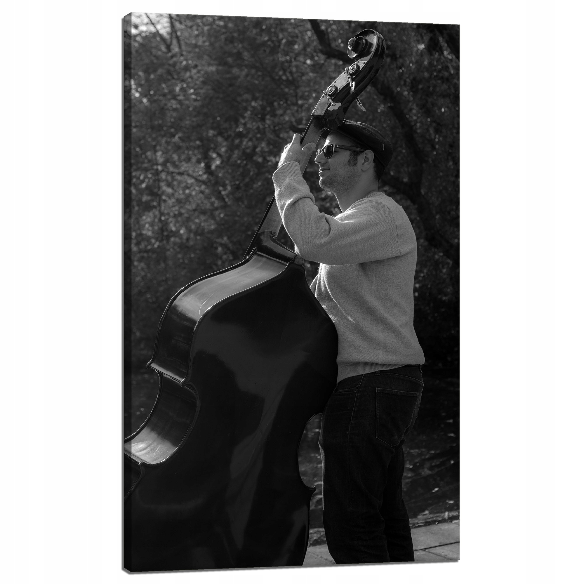 Obraz na plátně Hudba Hudebník kontrabas Nástroje 60x100 cm