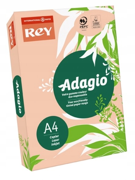 

Papier ksero kolorowy A4 80g 500ark brzoskwiniowy