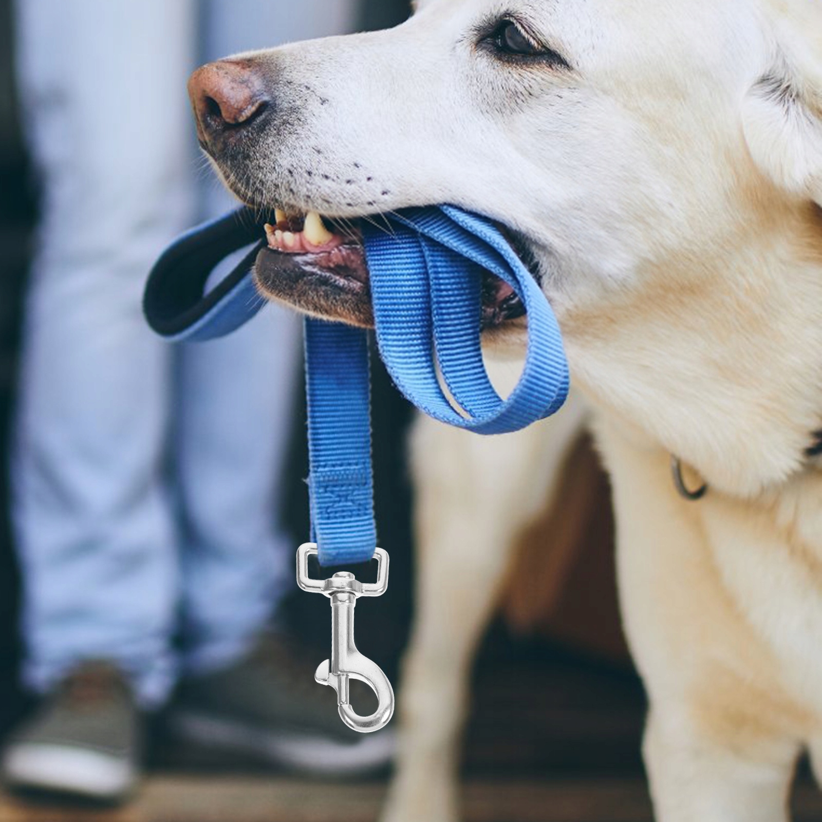 2 SZT. OBROTOWE HACZYKI Z KLIPSEM SPUSTOWYM ZAPIĘCIE PSA Mechanizm inny