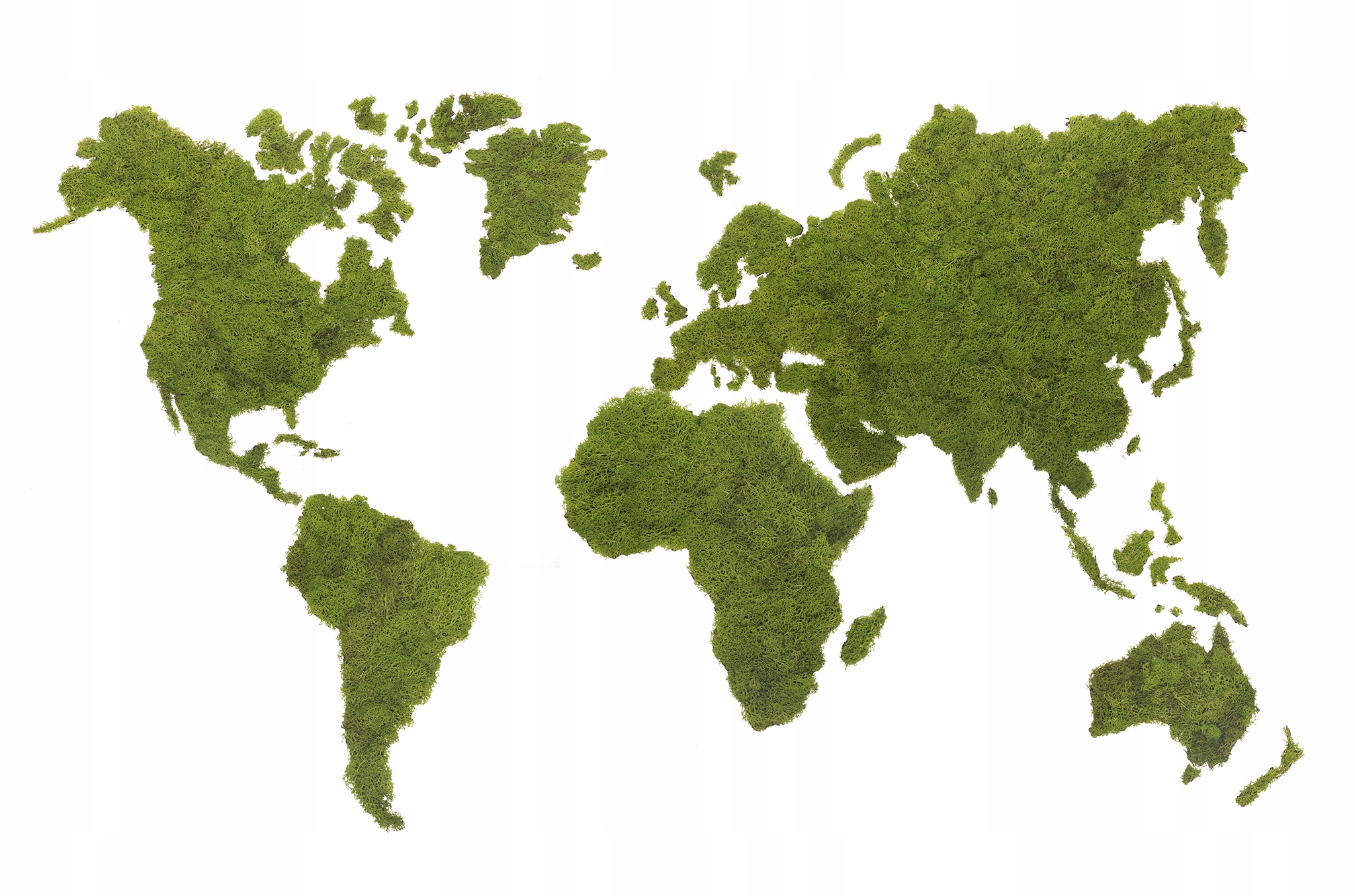 

Mapa Świata Korkowa Mech Na Ścianę Dekoracja XL