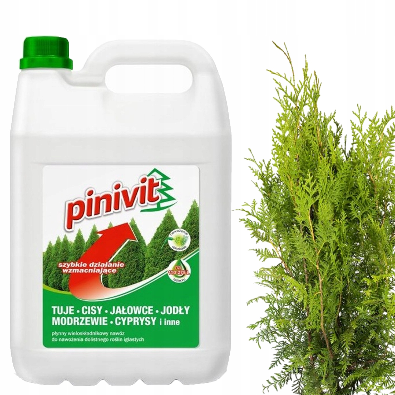 PINIVIT DOLISTNY NAWÓZ FLOROVIT DO TUJI TUI IGLAKÓW ROŚLIN IGLASTYCH 5L