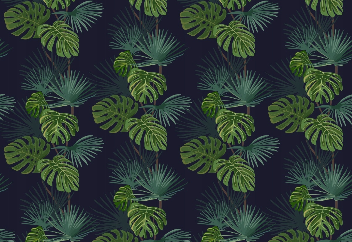 

Tapeta Flizelinowa Monstera dziurawa - 152x104