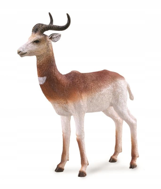 

Gazelka Płocha Dama Gazelle CollectA 88865