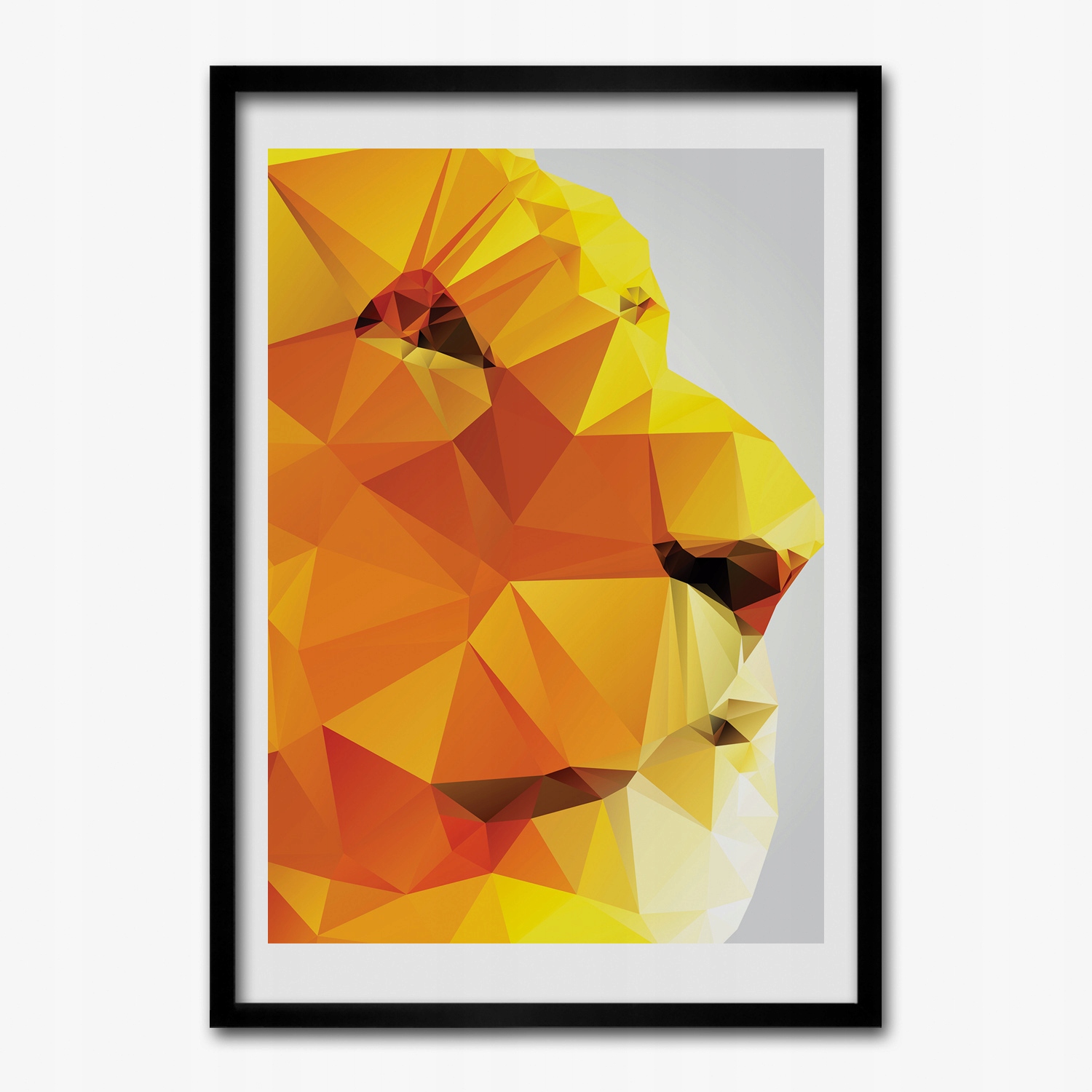 Obraz v rámu na zeď Lev hlava grafika 50x70 cm