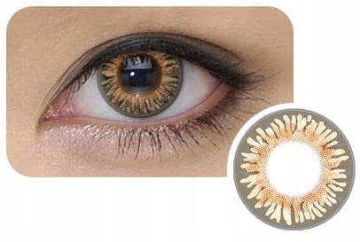 10x Jednodniowe Soczewki Kontaktowe Brązowe -0,5