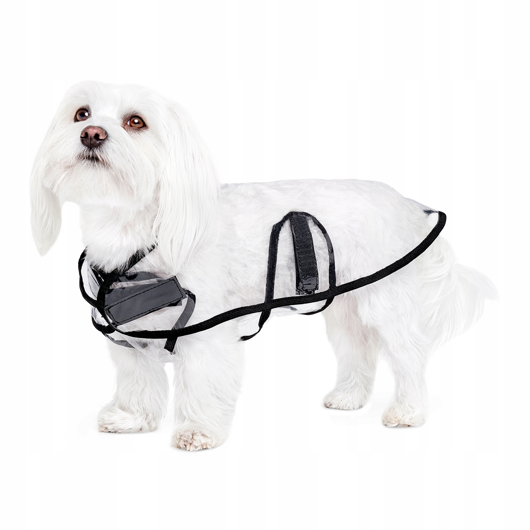 

John Dog kurtka przeciwdeszczowa dla psa L/XL