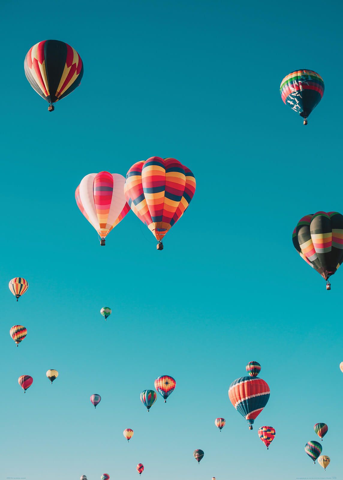 

Kolorowe Balony plakat na ścianę 50x70 cm