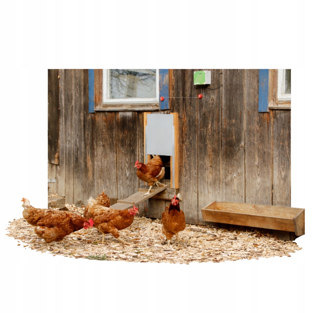 Levně Automatické Dveře Pro Slepice Kerbl 30 × 40 CM Elektronická Klapka Do Kurníku