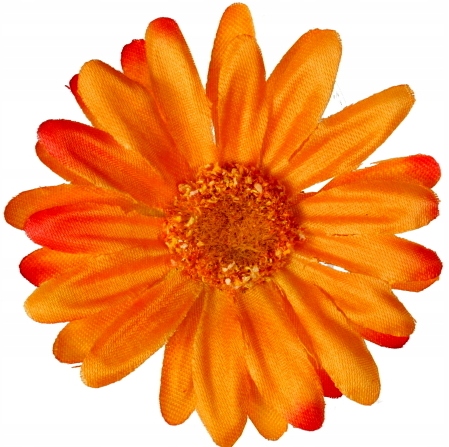 

Stokrotka Margaretka Główka Pomarańczowa 6 cm