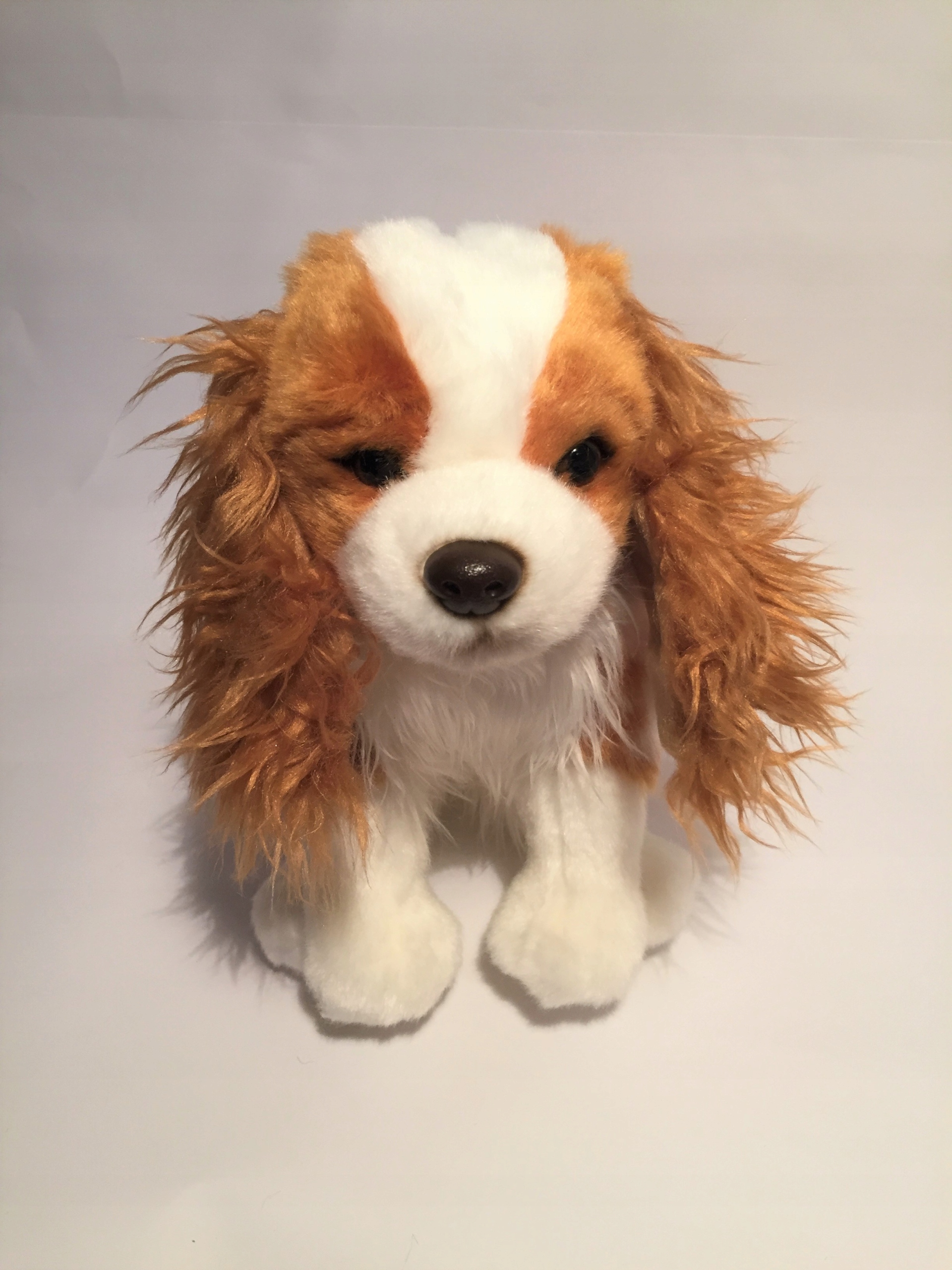 

Maskotka Pies cocker spaniel 24cm pluszak