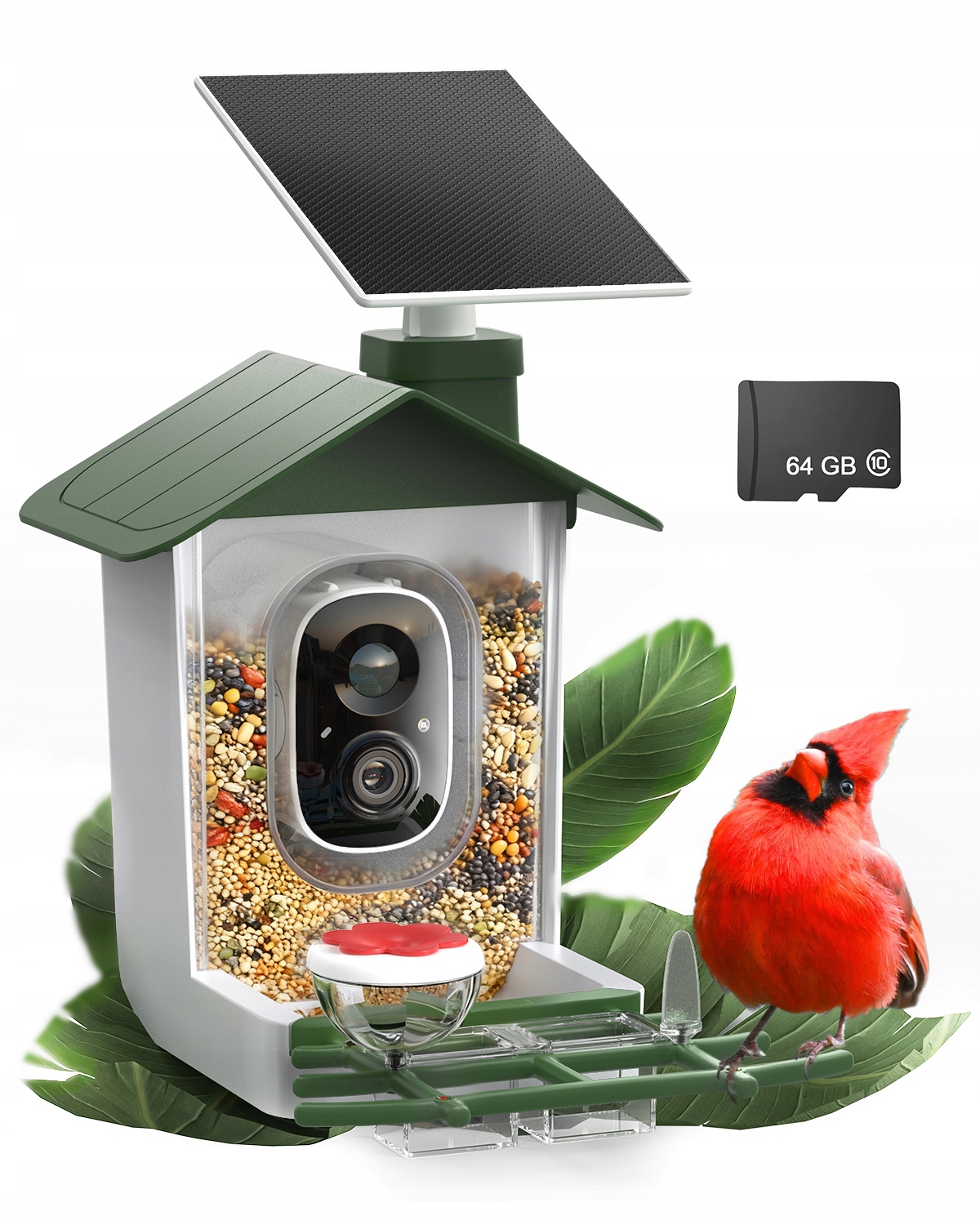 Smart Budka Karmnik Dla Ptaków Z Kamerą Do Obserwacji Na Solar Aplikacja Sd