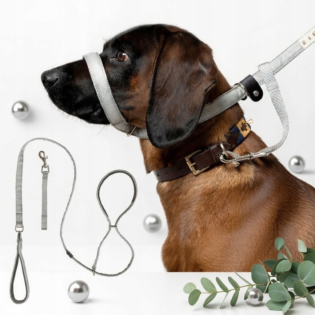 vodítko pro psa 2 m silná, odolná, tradiční, s měkkým nosem, stříbrnošedá