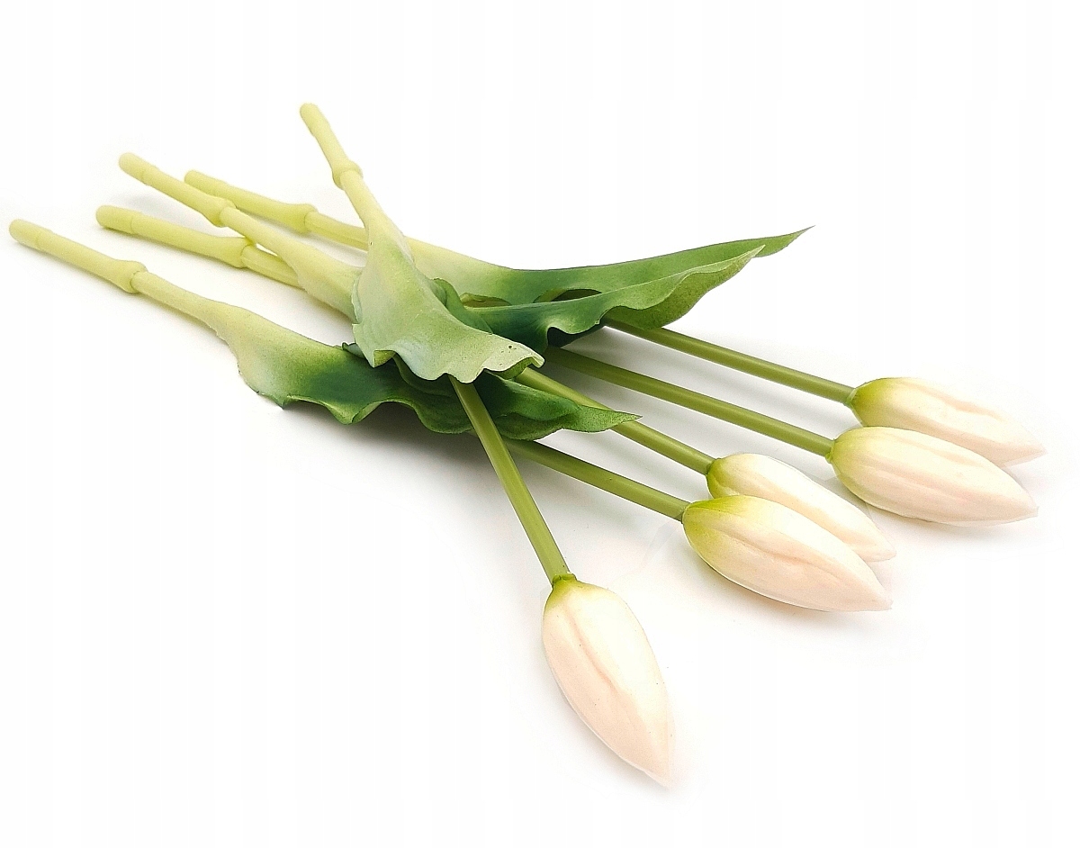 

Tulipan Silikonowy Gumowany Pąk Tulipany