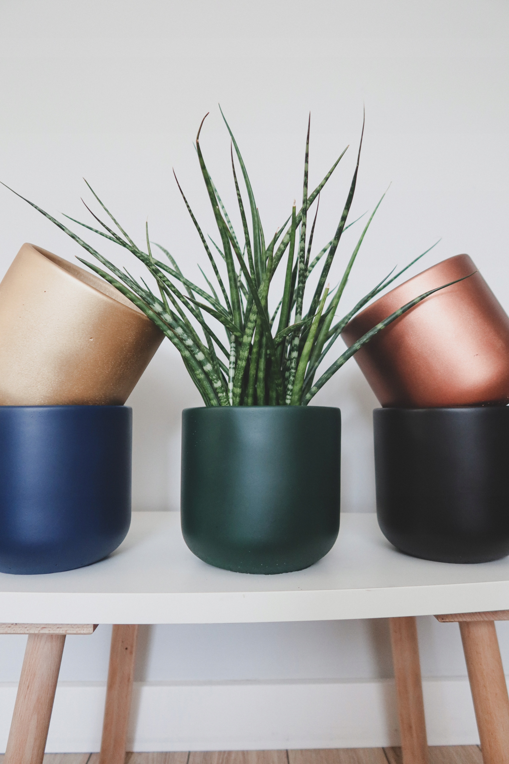 Doniczka betonowa 17cm czekoladowa lakierowana Kolor brązowy