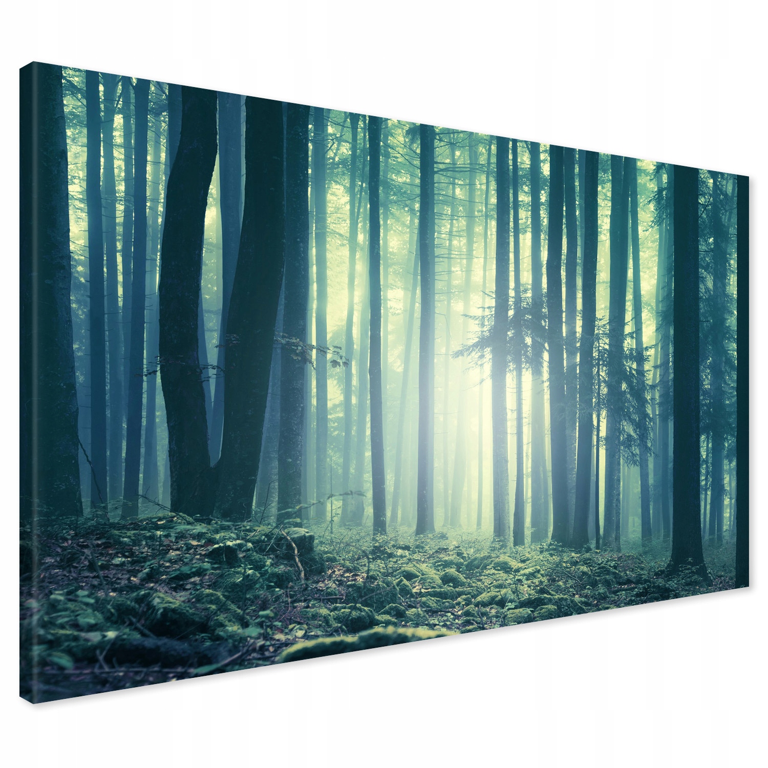 

Obraz na płótnie las mgła noc 100x70
