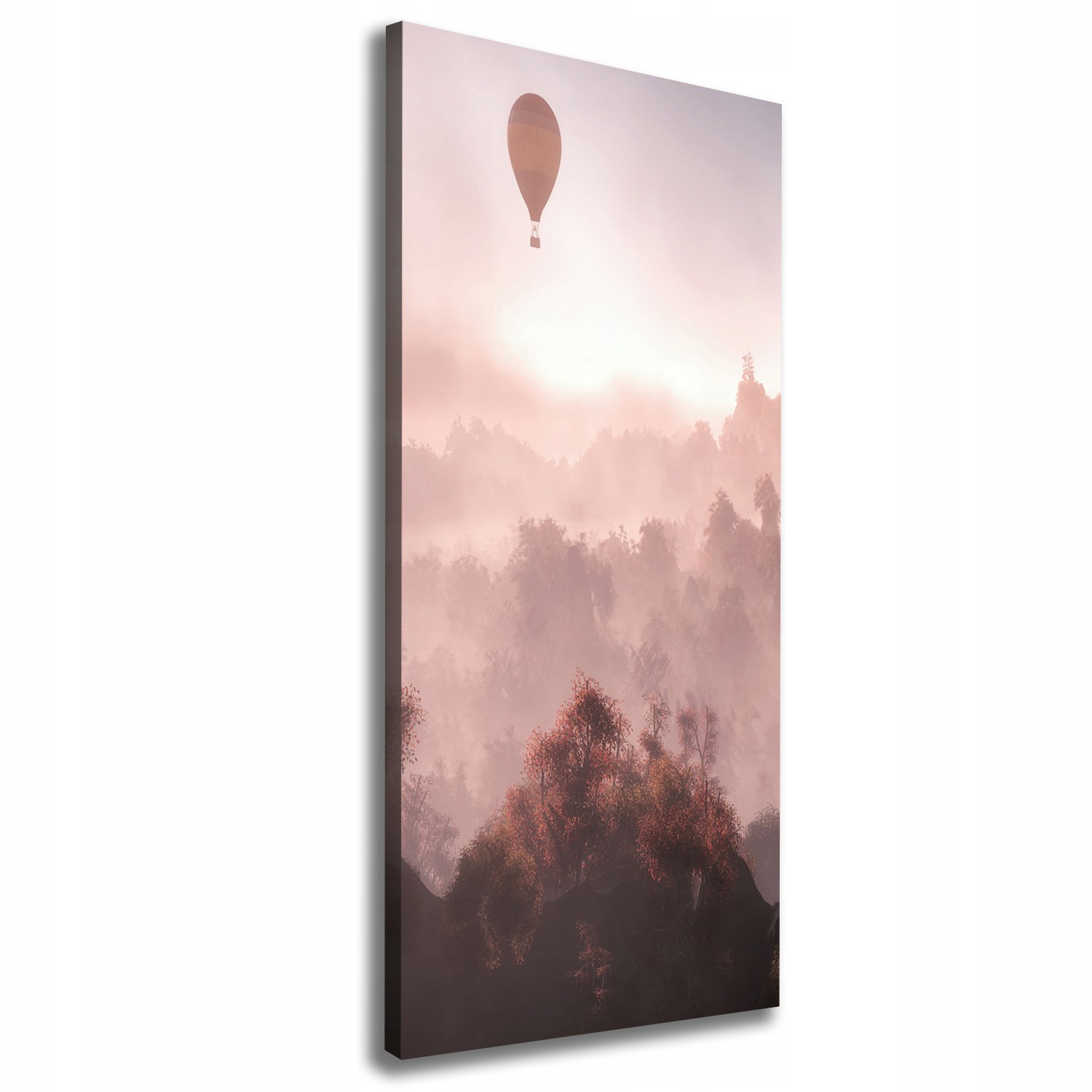 

Foto obraz na płótnie Latający balon las 50x125 cm