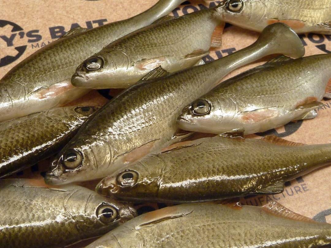 GUMA TOMY'S BAIT KRĄP 11R NATURAL