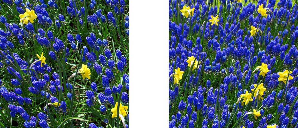 Veľká doska na krájanie zo skla Lubina Kvety 80x52 Tvar obdĺžnikový