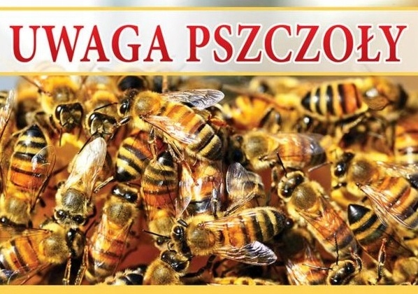 TABLICA DUŻA ostrzegawcza UWAGA PSZCZOŁY