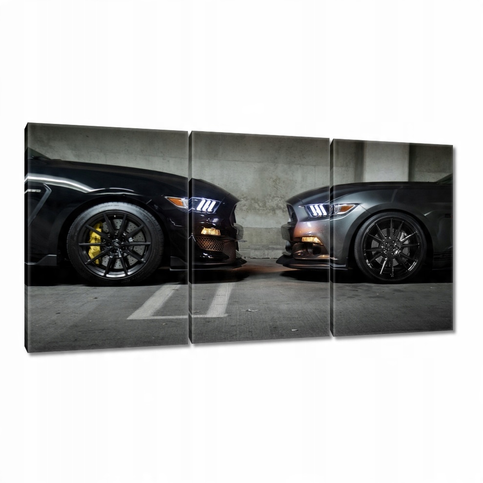 

Obrazy 120x60 Ford Mustang made in Usa