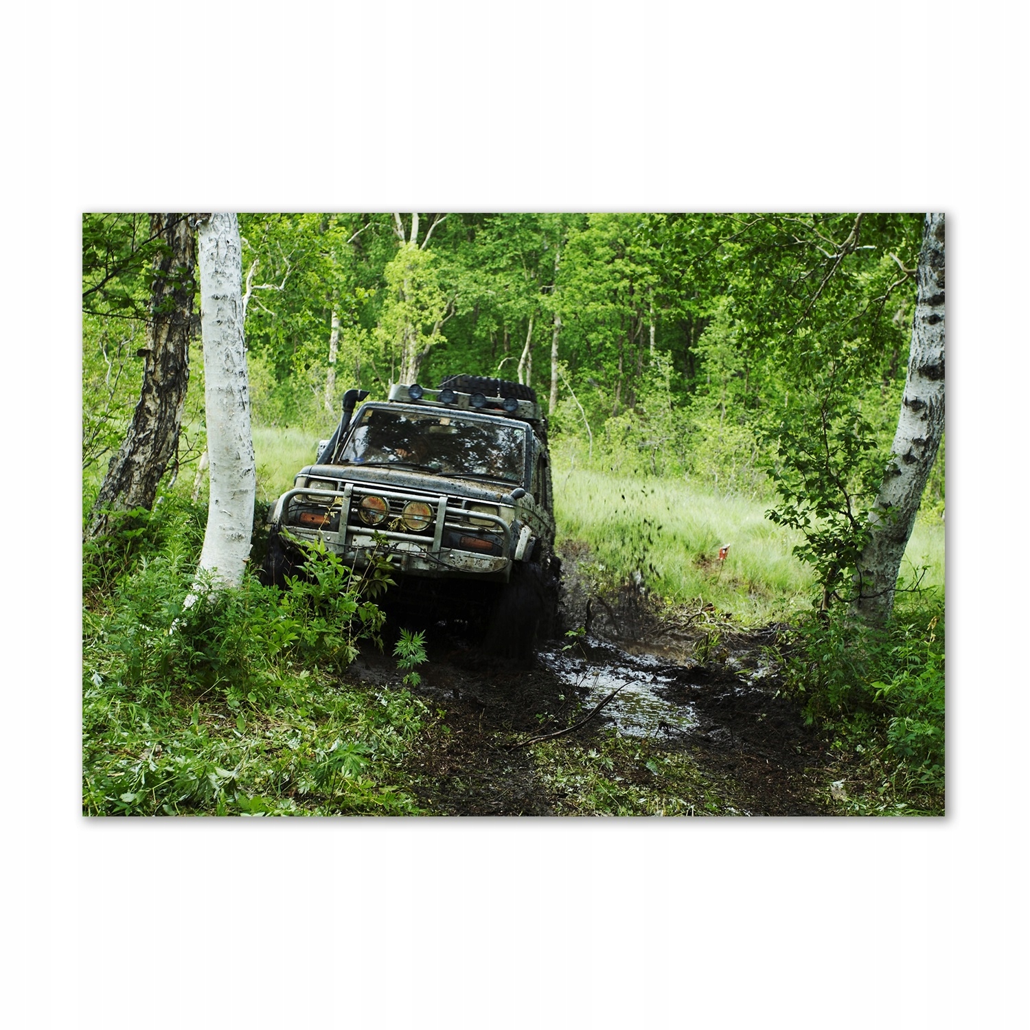

Foto obraz szkło hartowane Jeep w lesie 100x70
