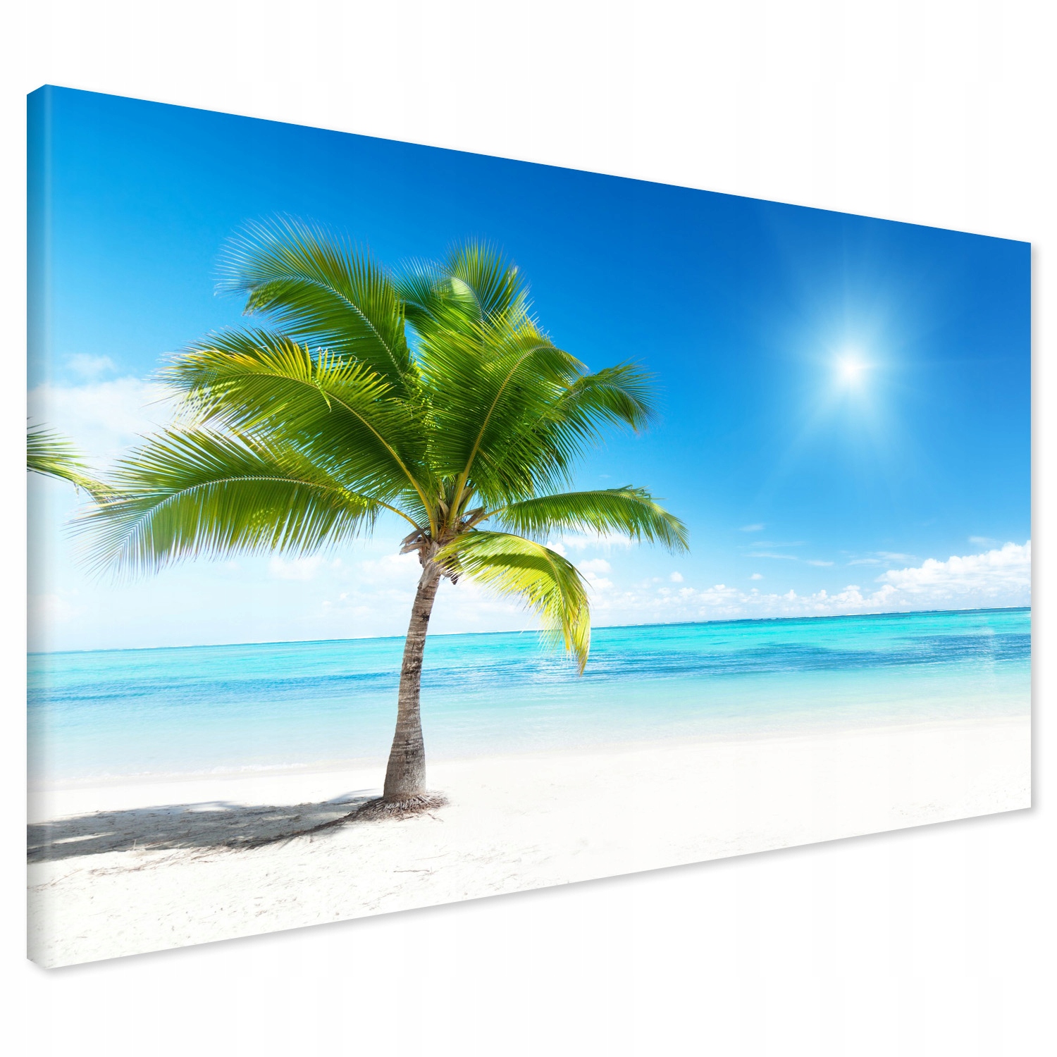 

Obraz na płótnie plaża morze palma 120x80