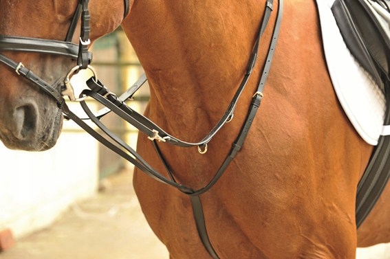 Hkm, Wodze Thiedemanna Cob/full czarny