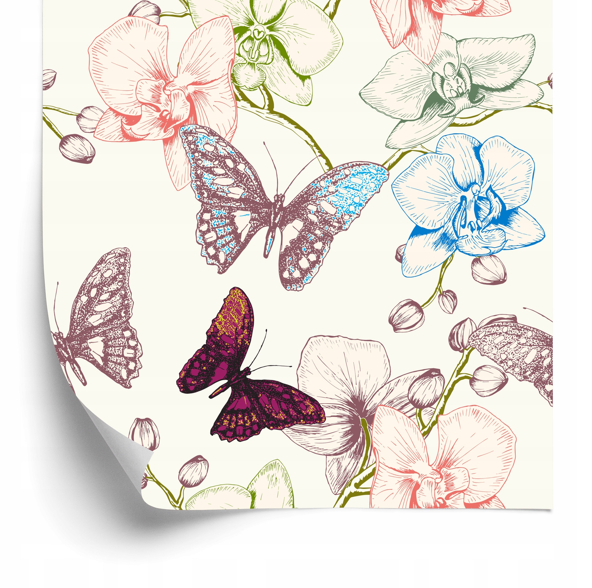 Tapeta Motýle, Kvety, Listy, Do detskej izby 50x1000 cm