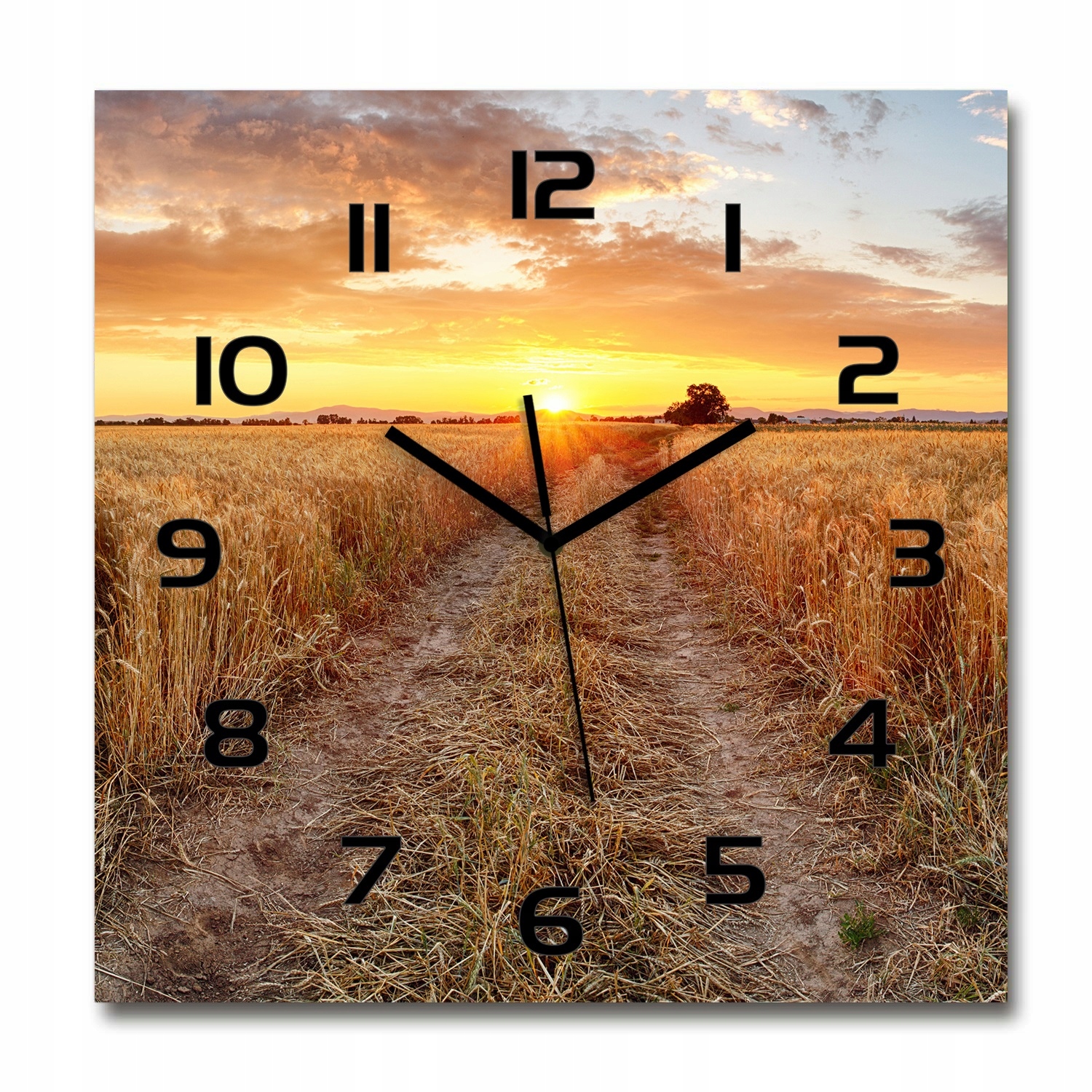 

Duży zegar szklany do salonu Pole pszenicy 60x60cm