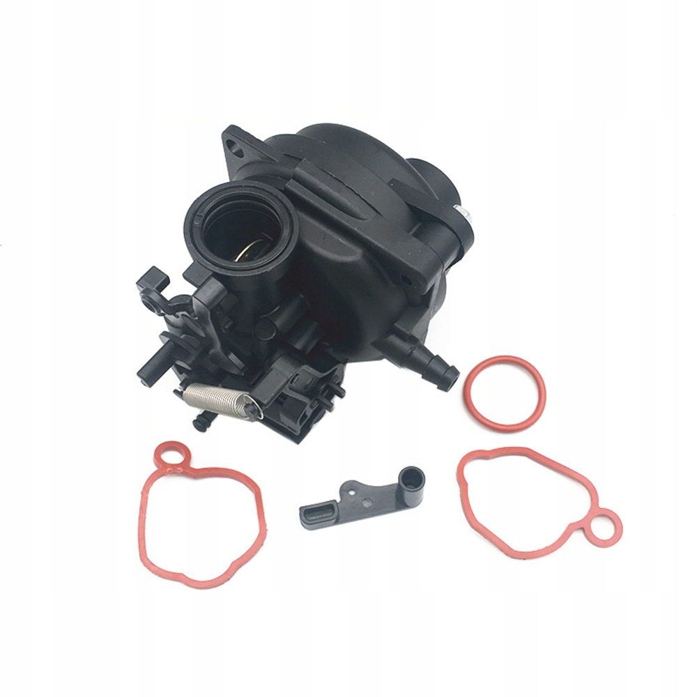 6935466245228 - для газонокосилки Briggs Stratton 799584 Carb