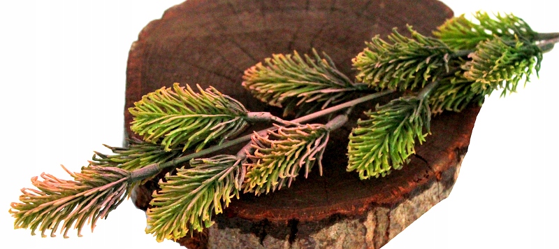 

Chmiel Gałązka Dekoracyjna Brudny Róż/zieleń 50 cm