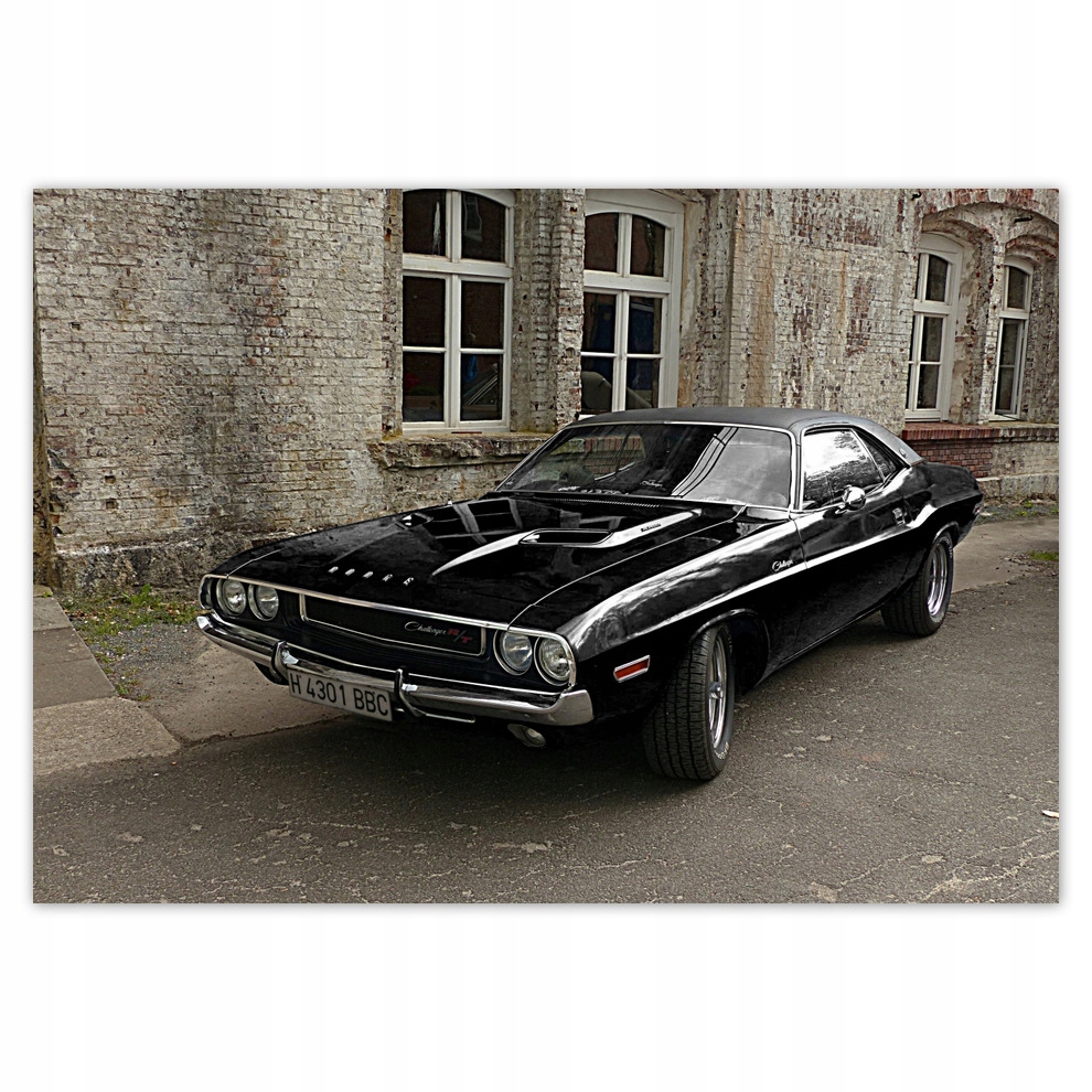 

Fototapety flizelina 416x290 Dodge Challenger Rt