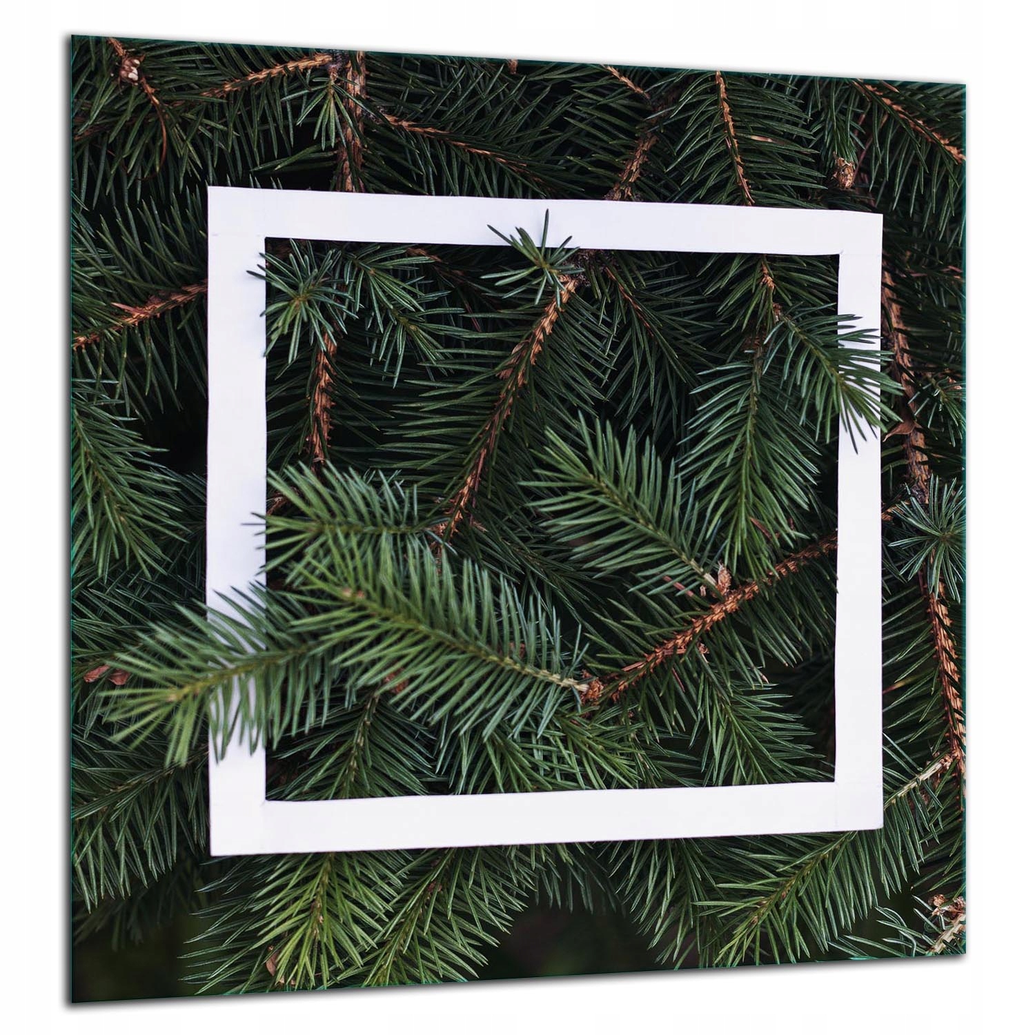 Skleněná Ochranná Deska Panel Lepidlo 60x65 Listy