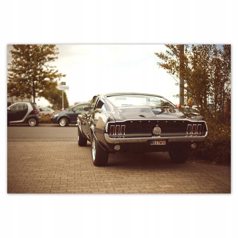 

Plakaty 60x40 Vintage foto Ford Mustang